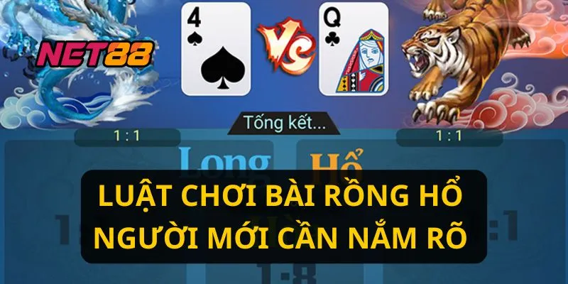 Luật chơi bài rồng hổ người mới cần nắm rõ